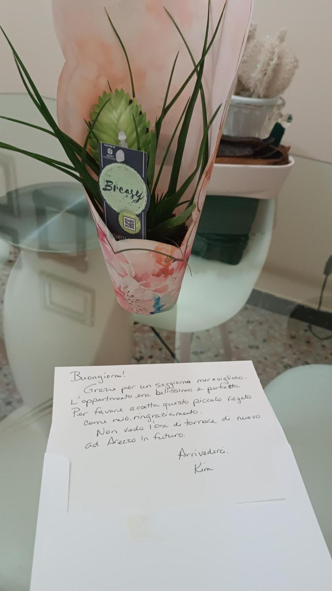 Suite Mariasole Arezzo Kültér fotó